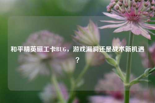 和平精英磁工卡BUG,游戏漏洞还是战术新机遇?