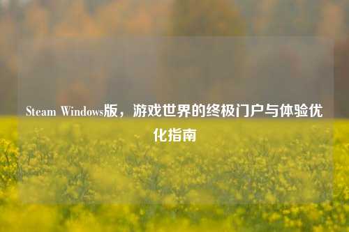 Steam Windows版,游戏世界的终极门户与体验优化指南
