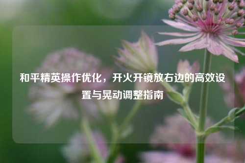 和平精英操作优化,开火开镜放右边的高效设置与晃动调整指南