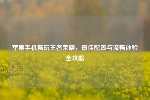 苹果手机畅玩王者荣耀，最佳配置与流畅体验全攻略