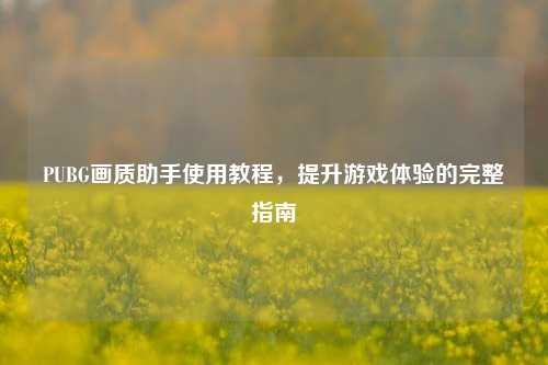 PUBG画质助手使用教程，提升游戏体验的完整指南