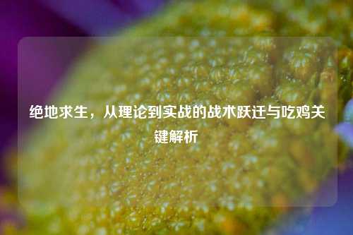 绝地求生，从理论到实战的战术跃迁与吃鸡关键解析