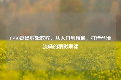 CSGO高燃剪辑教程,从入门到精通,打造丝滑流畅的精彩集锦