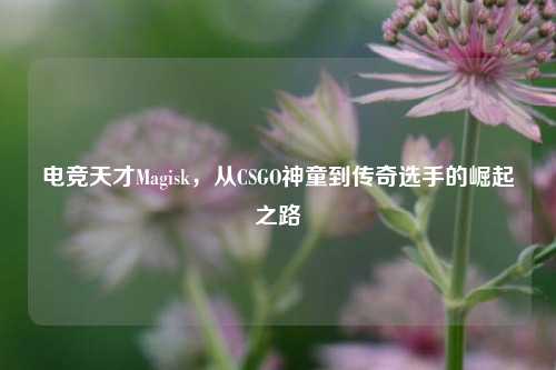 电竞天才Magisk，从CSGO神童到传奇选手的崛起之路