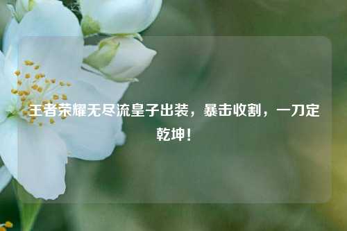 王者荣耀无尽流皇子出装,暴击收割,一刀定乾坤!