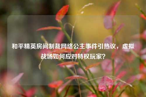 和平精英房间制裁网络公主事件引热议，虚拟战场如何应对特权玩家？