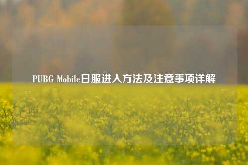 PUBG Mobile日服进入方法及注意事项详解