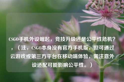 CSGO手机外设崛起，竞技升级还是公平性危机？，（注，CSGO本身没有官方手机版，但可通过云游戏或第三方平台在移动端体验，需注意外设适配可能影响公平性。）