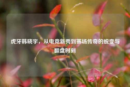 虎牙韩晓宇,从电竞新秀到赛场传奇的蜕变与翻盘时刻