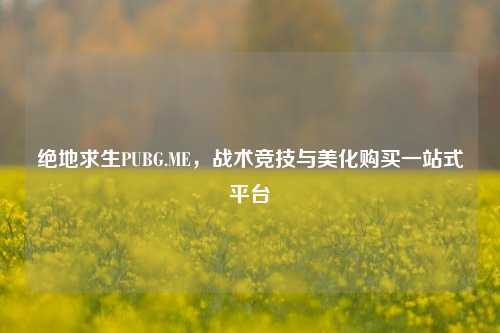 绝地求生PUBG.ME，战术竞技与美化购买一站式平台