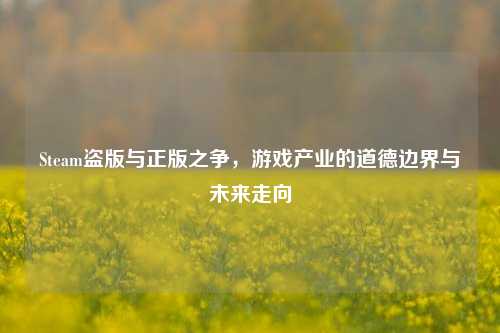 Steam盗版与正版之争,游戏产业的道德边界与未来走向