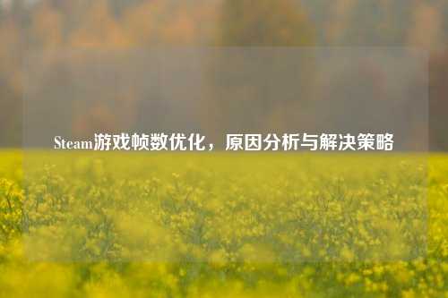 Steam游戏帧数优化，原因分析与解决策略
