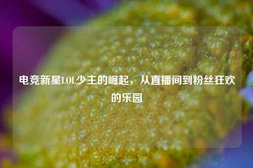 电竞新星LOL少主的崛起,从直播间到粉丝狂欢的乐园
