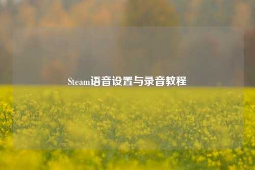 Steam语音设置与录音教程