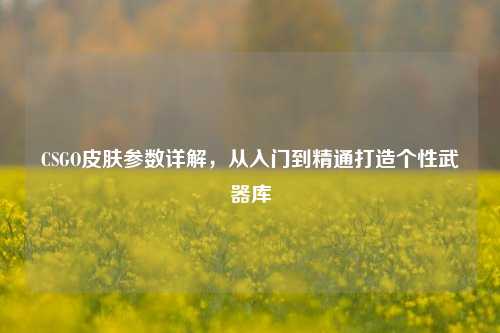 CSGO皮肤参数详解,从入门到精通打造个性武器库