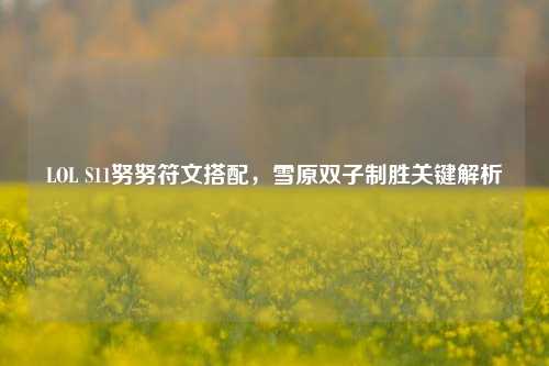LOL S11努努符文搭配,雪原双子制胜关键解析