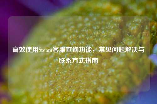 高效使用Steam客服查询功能，常见问题解决与联系方式指南