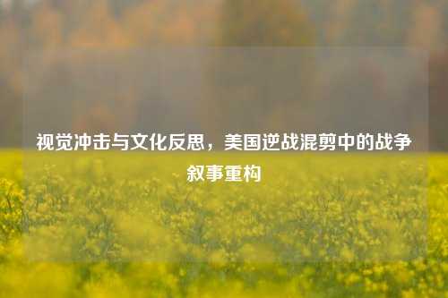 视觉冲击与文化反思，美国逆战混剪中的战争叙事重构