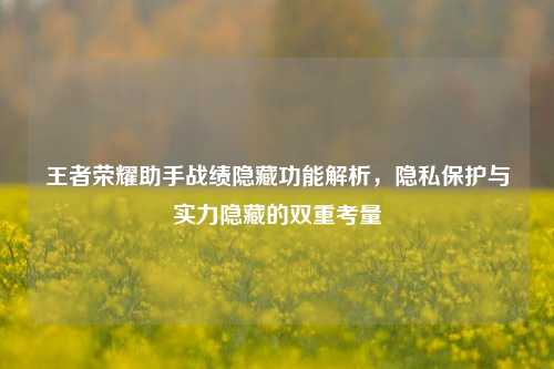 王者荣耀助手战绩隐藏功能解析,隐私保护与实力隐藏的双重考量