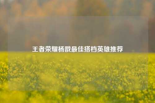 王者荣耀杨戬最佳搭档英雄推荐