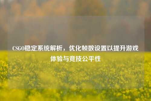 CSGO稳定系统解析，优化帧数设置以提升游戏体验与竞技公平性