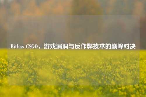 Bithax CSGO,游戏漏洞与反作弊技术的巅峰对决