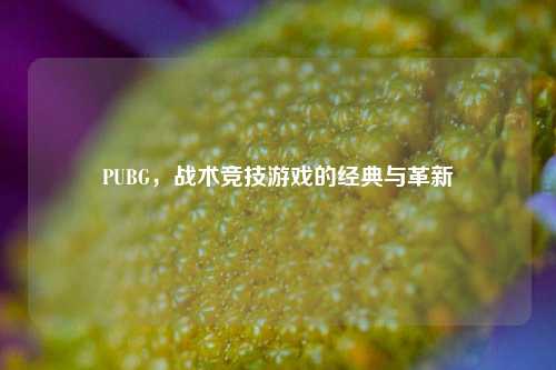 PUBG，战术竞技游戏的经典与革新