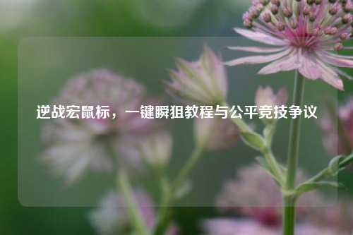 逆战宏鼠标,一键瞬狙教程与公平竞技争议