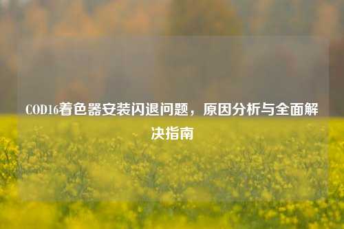 COD16着色器安装闪退问题,原因分析与全面解决指南