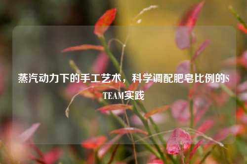 蒸汽动力下的手工艺术,科学调配肥皂比例的STEAM实践
