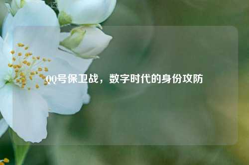 QQ号保卫战，数字时代的身份攻防