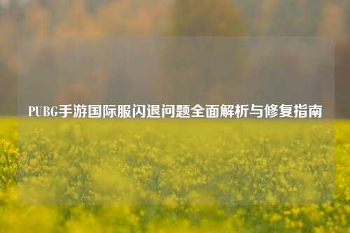 PUBG手游国际服闪退问题全面解析与修复指南