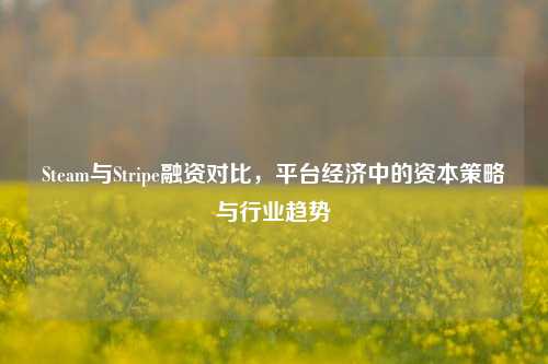 Steam与Stripe融资对比,平台经济中的资本策略与行业趋势