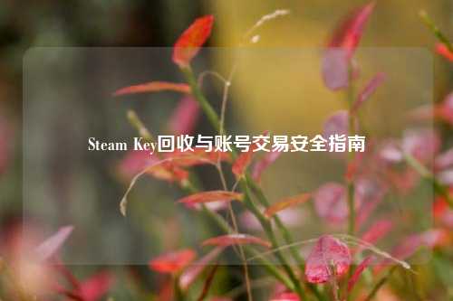 Steam Key回收与账号交易安全指南