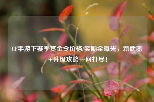 CF手游下赛季赏金令价格/奖励全曝光,新武器+升级攻略一网打尽!