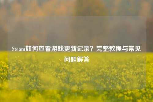 Steam如何查看游戏更新记录?完整教程与常见问题解答