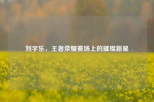 刘宇乐,王者荣耀赛场上的璀璨新星