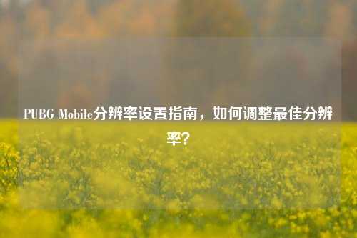 PUBG Mobile分辨率设置指南，如何调整最佳分辨率？