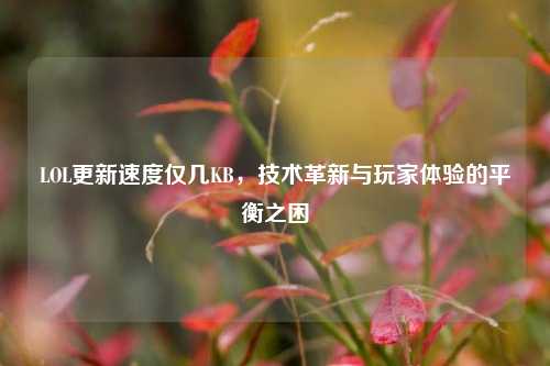 LOL更新速度仅几KB,技术革新与玩家体验的平衡之困