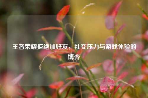 王者荣耀拒绝加好友，社交压力与游戏体验的博弈