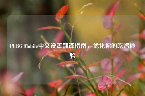 PUBG Mobile中文设置翻译指南，优化你的吃鸡体验