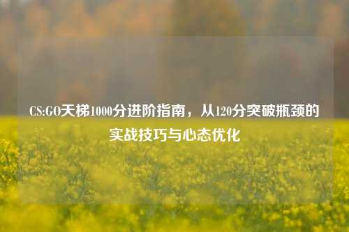 CS:GO天梯1000分进阶指南,从120分突破瓶颈的实战技巧与心态优化