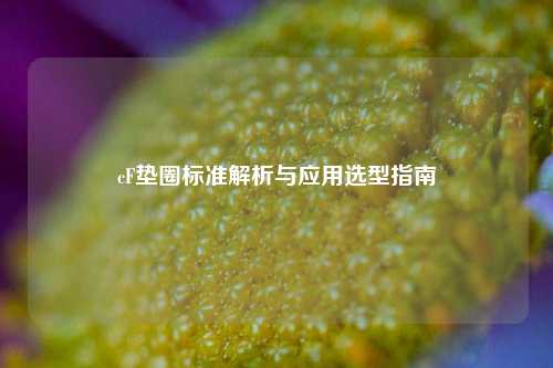 cF垫圈标准解析与应用选型指南