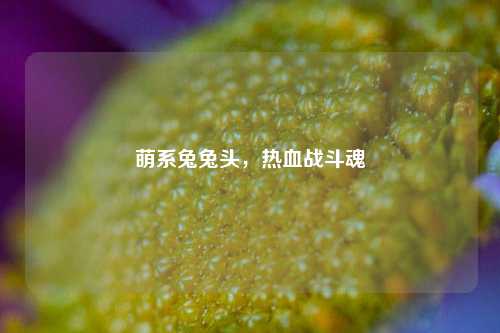 萌系兔兔头，热血战斗魂