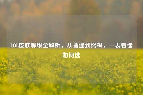 LOL皮肤等级全解析，从普通到终极，一表看懂如何选