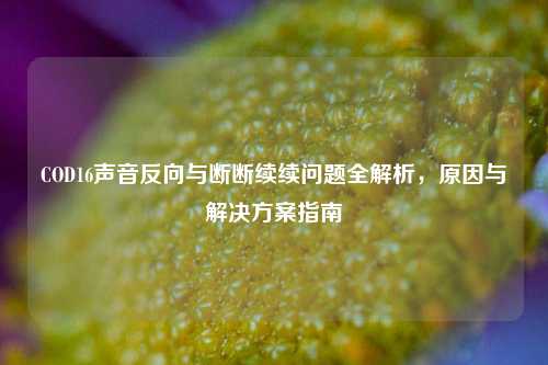 COD16声音反向与断断续续问题全解析,原因与解决方案指南