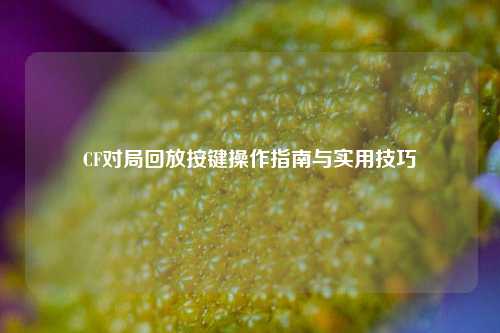 CF对局回放按键操作指南与实用技巧