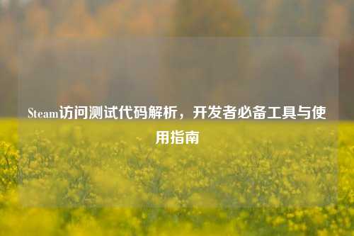 Steam访问测试代码解析,开发者必备工具与使用指南