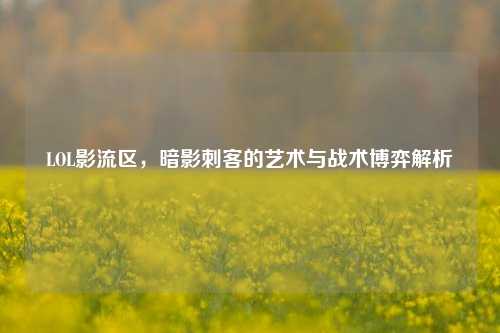 LOL影流区，暗影刺客的艺术与战术博弈解析