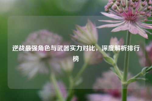 逆战最强角色与武器实力对比,深度解析排行榜